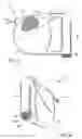 Fig. 03 - Leash assembly with bag roll in handle