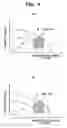 Fig. 05 - Cylinder injection type internal combustion engine, control method for internal combustion engine, and fuel injection valve