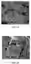 Fig. 02 - Composite material containing tungsten and bronze