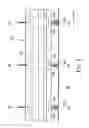 Fig. 09 - Vertical window blind with a decorative curtain