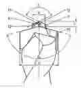 Fig. 01 - Drill in particular masonry drill