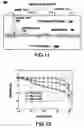 Fig. 07 - High speed photodiode with a barrier layer for blocking or eliminating slow photonic carriers and method for forming same