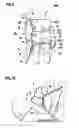 Fig. 06 - Vehicle occupant restraint system and vehicle occupant restraint method