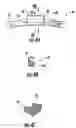 Fig. 06 - Vehicle wheel balance weights