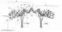Fig. 01 - Image observing apparatus