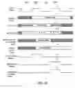 Fig. 32 - Associative memory having a mask function for use in network devices and network system