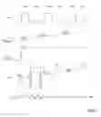 Fig. 03 - Programming method of multilevel memories and corresponding circuit