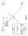 Fig. 04 - Processing content for electronic distribution using a digital rights management system