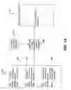 Fig. 14 - Processing content for electronic distribution using a digital rights management system