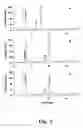 Fig. 02 - Method for the selective and quantitative functionalization of immunoglobulin fab fragments, conjugate compounds obtained with the same and compositions thereof