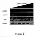 Fig. 02 - Compositions and methods for treating neuroendocrine tumors
