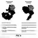 Fig. 07 - Selecting patients for therapy with a her inhibitor