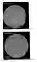 Fig. 06 - Polyanionic polymer adjuvants for haemophilus influenzae B saccharide vaccines