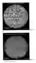 Fig. 07 - Polyanionic polymer adjuvants for haemophilus influenzae B saccharide vaccines