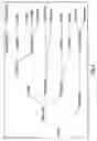 Fig. 02 - Live genetically engineered protozoan vaccine