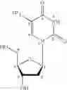 Fig. 09 - Formulations for cell-schedule dependent anticancer agents