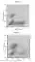 Fig. 08 - Methods and materials for expression of a recombinant protein