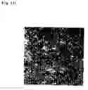 Fig. 09 - Fine particle film and producing method of the same