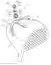 Fig. 01 - Weight adjustable golf club head