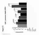 Fig. 07 - Use of SERP-1 as an antiplatelet agent