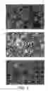 Fig. 04 - Methods for treating or preventing cancer by preventing, inhibiting, or arresting cell cycling