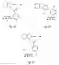 Fig. 07 - Compounds having activity as inhibitors of apoptosis