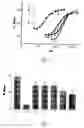 Fig. 09 - Compounds having activity as inhibitors of apoptosis