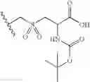 Fig. 746 - Substituted amino carboxylic acids