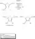 Fig. 52 - 4-Hydroxyfuroic acid derivatives