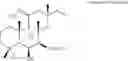 Fig. 02 - [METHOD OF PREPARING LABDANE DITERPENE COMPOSITION, PREFERABLY ISOFORSKOLIN AND DEACETYLFORSKOLIN FROM FORSKOLIN EXTRACT AND THEIR USE FOR PROMOTING LEAN BODY MASS AND OTHER APPLICATIONS]