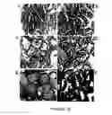 Fig. 09 - Use of equol for treating androgen mediated diseases