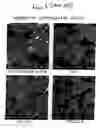 Fig. 02 - Polyethylene formulations