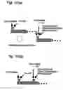 Fig. 11 - Thermoplastic resin composition, molded product therefrom and outside plate part for vehicle using the molded product