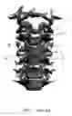 Fig. 02 - Spinal plate and drill guide