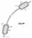 Fig. 06 - Stent and method of manufacturing same