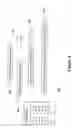 Fig. 07 - Locating electronic instances of documents based on rendered instances, document fragment digest generation, and digest based document fragment determination