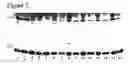 Fig. 08 - Method of producing an exogenous protein in the egg of a chicken