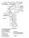 Fig. 02 - Genetic manipulation of condensed tannins