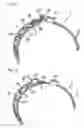 Fig. 08 - Boot band