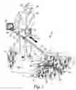 Fig. 02 - Combination blower, trimmer and edger for tending vegetation