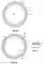 Fig. 03 - Conduit assembly and method of use thereof