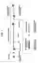 Fig. 02 - Method of continuous vacuum carburization of metal wire, metal band or metal pipe and apparatus therefor