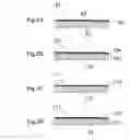 Fig. 05 - Method of manufacturing a device-incorporated substrate