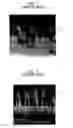 Fig. 04 - Method for fabricating semiconductor device using ArF photolithography capable of protecting tapered profile of hard mask