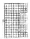 Fig. 07 - Collapsible construction barrier