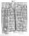 Fig. 08 - Collapsible construction barrier