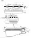 Fig. 06 - Plasma display apparatus comprising filter