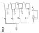 Fig. 07 - Semiconductor device having input circuits activated by clocks having different phases