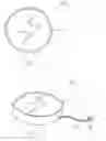 Fig. 03 - Illuminated exterior decorative device