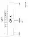Fig. 16 - Technique for disparity bounding coding in a multi-level signaling system